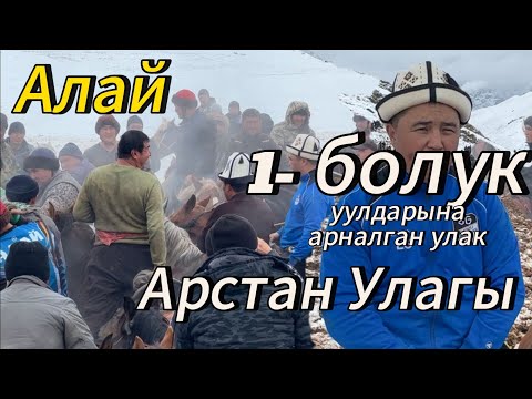 Видео: Арстан аке Уулдарына элден бата алып Аламан Улак берди