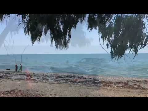 Видео: Абхазия пансионат Эвкалиптовая роща… уникальный уголок природы