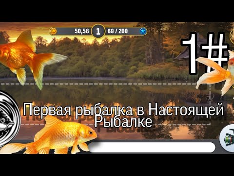 Видео: Первая рыбалка! | Настоящая Рыбалка | #1 