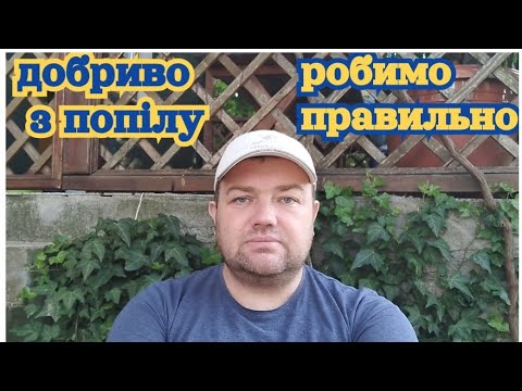 Видео: Як зробити якісне добриво з попелу