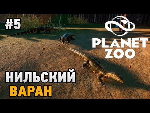 Видео: Planet Zoo #5 Нильский варан
