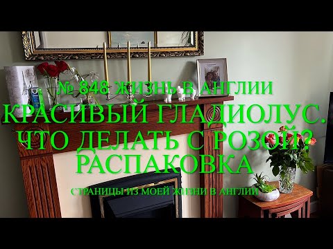 Видео: Красивый гладиолус. Что делать с розой? Ажиотаж с флагами. Распаковка. № 848 Жизнь в Англии