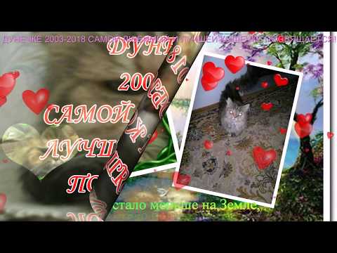 Видео: МОСТ РАДУГИ ДУНЕЧКА 2003 2018 САМОЙ ЛЮБИМОЙ И ЛУЧШЕЙ КОШЕЧКЕ ПОСВЯЩАЕТСЯ!