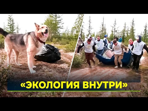 Видео: Новоуренгойцы собирали в тундре не грибы-ягоды, а крупногабаритный мусор