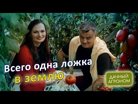 Видео: Удобрения НЕ НУЖНЫ если ваша ЗЕМЛЯ КАК ХЛЕБ