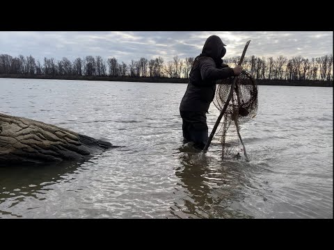 Видео: УДАЧНО ПРОВЕРИЛ ФИТИЛИ, ЕСТЬ ПЕРВЫЙ УЛОВ! РЫБАЛКА НА ФИТИЛИ ОСЕНЬЮ