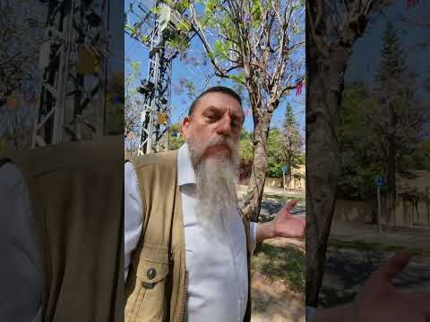 Видео: С Днём победы над злом