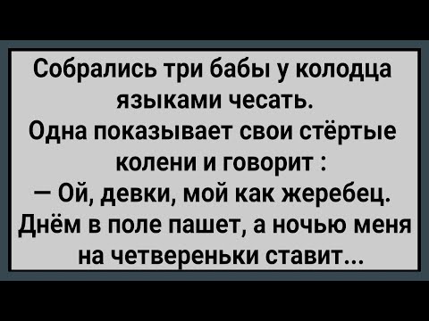 Видео: Как Три Бабы у Колодца Языками Чесали! Сборник Свежих Анекдотов! Юмор!