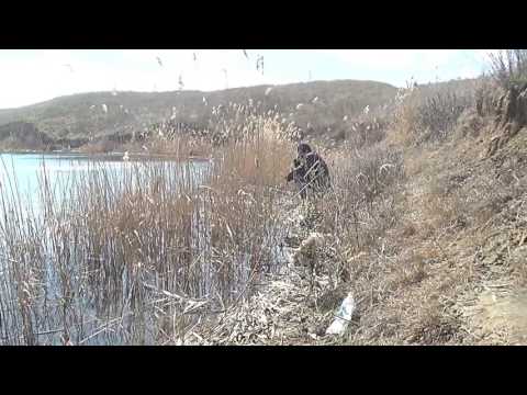 Видео: В Марте на р Куре