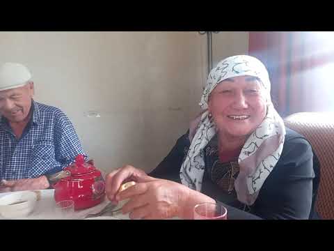 Видео: С днем работников автотранспорта