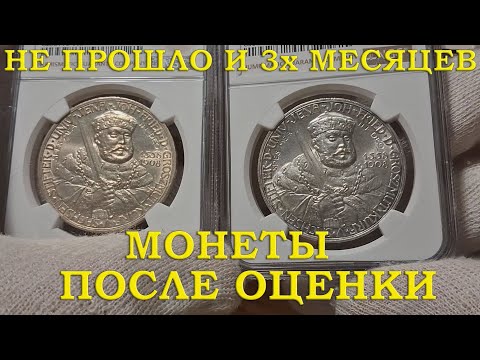 Видео: ЦЕНЫ, СРАВНЕНИЕ, ОСМОТР