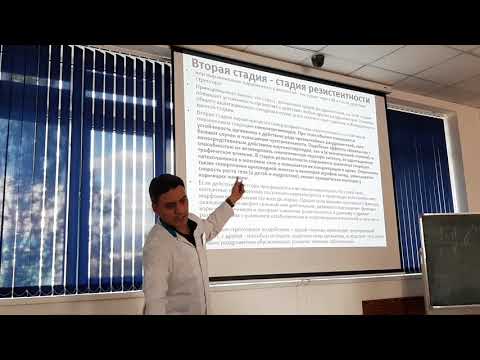 Видео: стресс .шок 1-ая часть