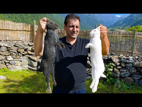 Видео: КАК ПРИГОТОВИТЬ КРОЛИКА В ДИКОЙ ПРИРОДЕ | ЛУЧШИЙ РЕЦЕПТ ПРИГОТОВЛЕНИЯ КРОЛИКА ОТ ШЕФ-ПОВАРА