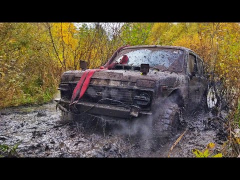 Видео: Нива, от которой не ожидали и УАЗ который взорвал болото. ГАЗ-69, Jeep Cherokee, Nissan Patrol
