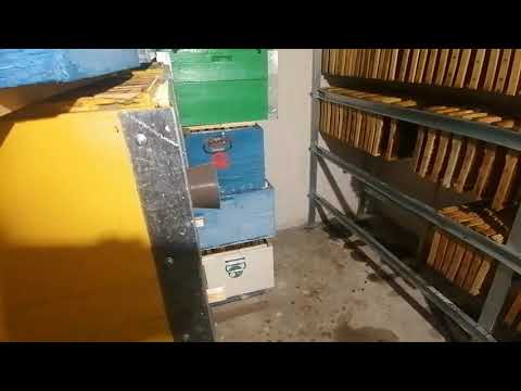 Видео: Как хранить сушь в любое время года Хранилище для сото рамок.