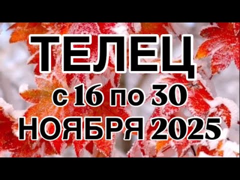 Видео: ТЕЛЕЦ- 16  ПО 30  НОЯБРЯ  2025 | ВАЖНО! | НЕ ВАЖНО! | РЕЗУЛЬТАТ | ПРОГНОЗ ОТ NATALLIA  MARKOWSKA