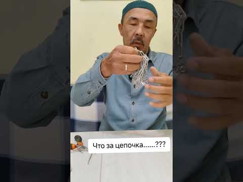 Видео: коррекция поведения собаки г.Алматы +77075299363 Мурат.