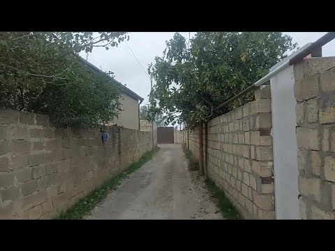 Видео: Приехали в гости к маминой родственнице  