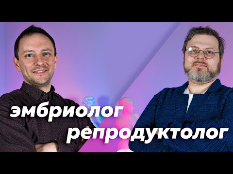 Видео: Перенос эмбрионов