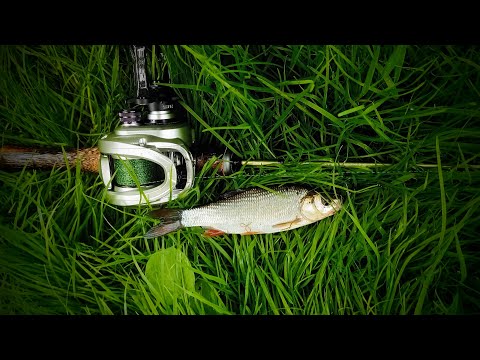 Видео: Микроколебалки, Мормышинг, UL кастинг и полная разнорыбица
