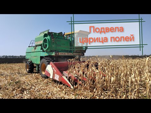 Видео: Уборка неурожая кукурузы 2025!