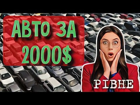 Видео: Автобазар м.РІВНЕ | обираєш авто за 2000💲 ⁉️| 🇺🇦 09.09.2023|📞097 891 1118👉Перевірка авто🔬