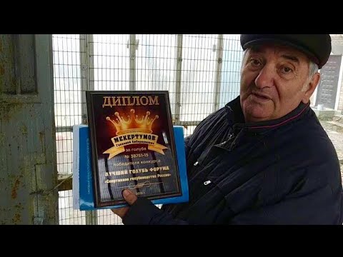 Видео: Спортивные голуби / Sport pigeons. В гостях у Геннадия Амбарцумовича! Телефон для связи+79054427441.