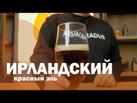 Видео: Ирландский Красный Эль. Как сделать вкусное домашнее пиво?