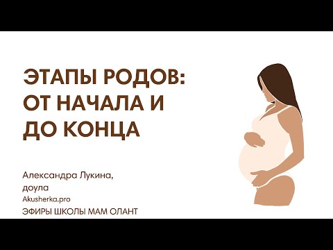 Видео: ЭТАПЫ РОДОВ: ОТ НАЧАЛА И ДО КОНЦА
