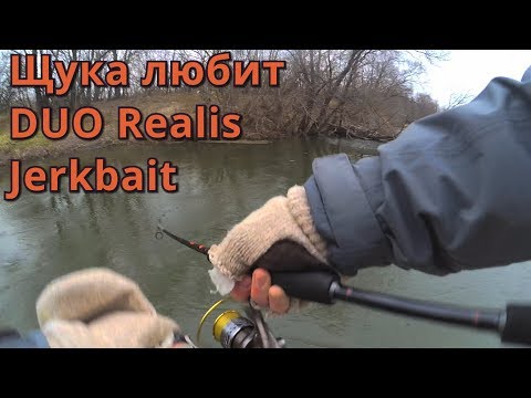 Видео: Рыбалка на спиннинг поздней осенью  Щука на DUO Realis Jerkbait 120sp