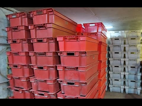 Видео: Сколько грамм... .Кормление.Проверка нового субстрата.