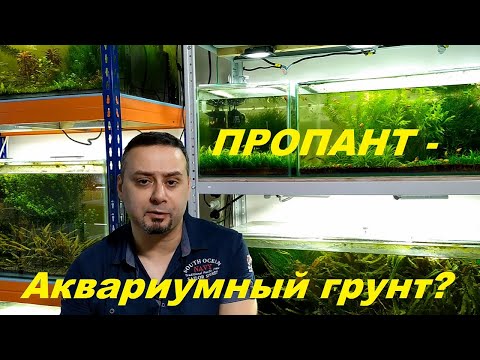 Видео: Пропант в аквариуме