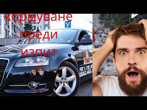 Видео: Кормуване преди изпита
