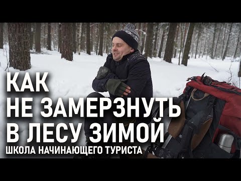 Видео: Как не замерзнуть в зимнем лесу: школа начинающего туриста