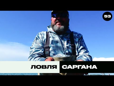 Видео: Ловля Саргана | Трофей на Морі №53