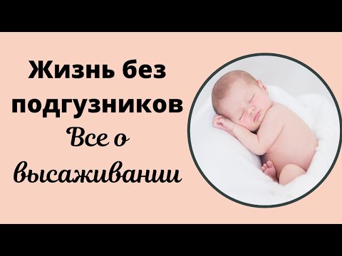 Видео: Высаживание: жизнь без подгузников. Практические советы