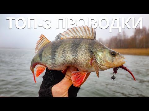 Видео: Топ 3 ПРОВОДКИ ДЖИГА которые ДЕЙСТВИТЕЛЬНО ловят ОКУНЯ!!! Зимняя РЫБАЛКА 2025!