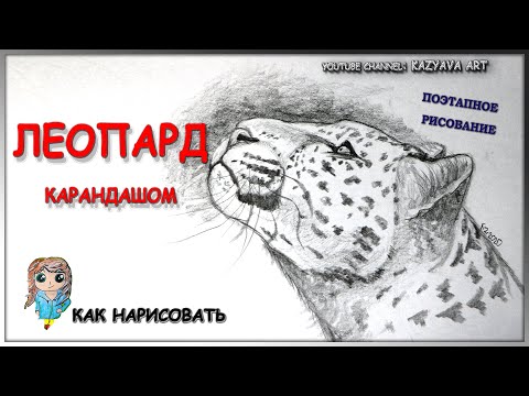 Видео: Как нарисовать леопарда карандашом. Голова в профиль. Поэтапное рисование.