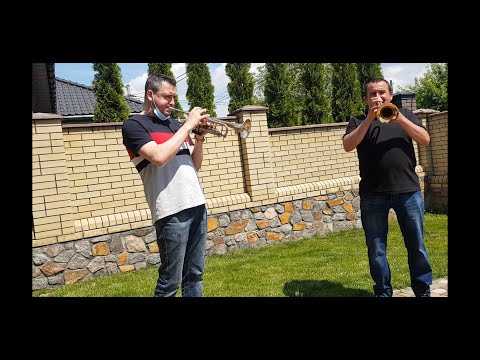 Видео: Весілля Умань (переход)