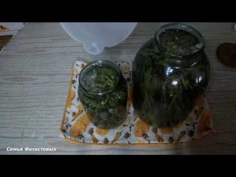 Видео: Сбор и заготовка папоротника Орляка. Как посолить папоротник