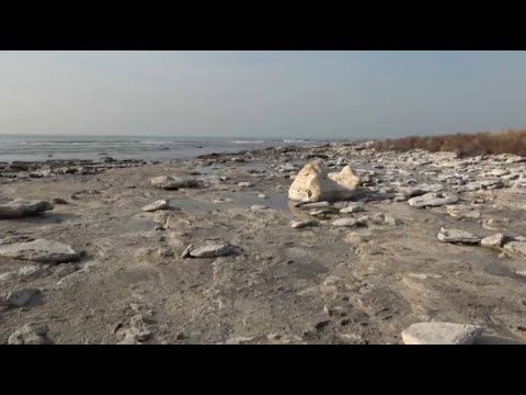 Видео: Как меняется уровень Каспийского моря