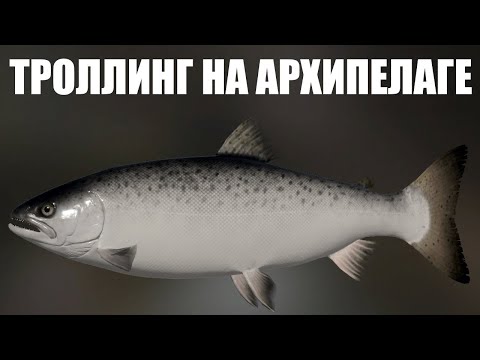 Видео: ТРОЛЛИНГ НА АРХИПЕЛАГЕ в РР4