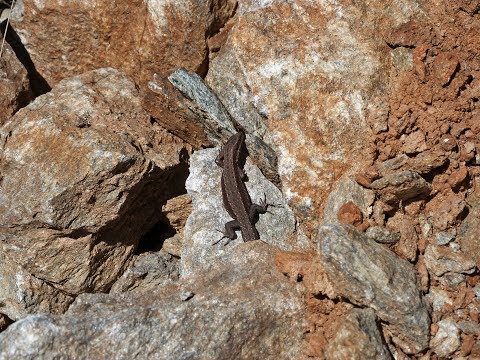 Видео: 10 лет спустя... или снова за турмалином!