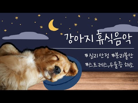 Видео: 20 часов любимой музыки собак🐶💖Музыка для сна собак 🐶🎵 Музыка для снятия беспокойства при разлуке🎵
