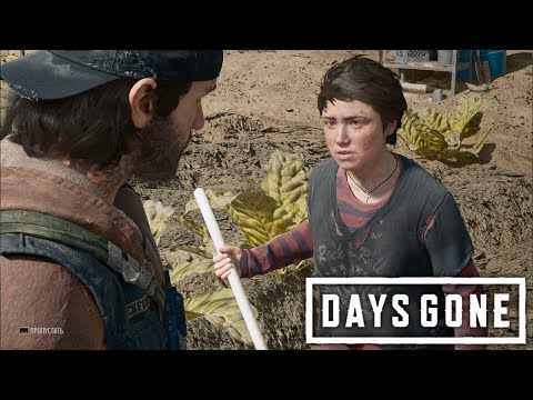 Видео: САМОЕ ЛУЧШЕЕ ЗАДАНИЕ В МИРЕ Days Gone #15