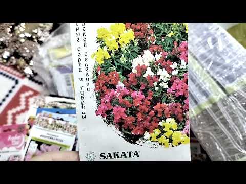Видео: Семена томатов и цветов на 2024 год .