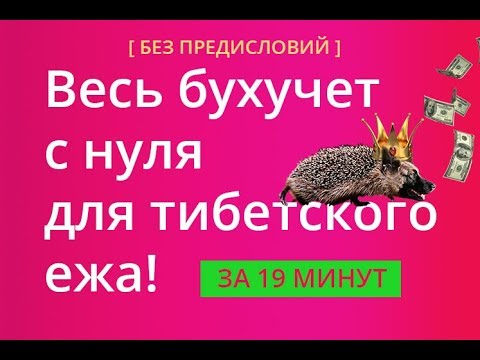 Видео: Весь бухучет с нуля для тибетского ежа! За 19 минут, без предисловий