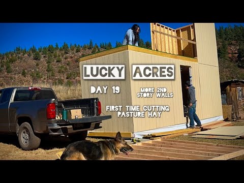 Видео: Удачные места: шероховатые стены второго этажа! Первый раз косим сено на пастбище! (День 19)