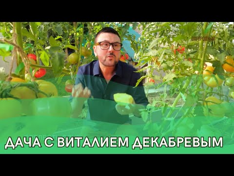 Видео: Дача с Виталием Декабревым Сезон 3 / Выпуск 6