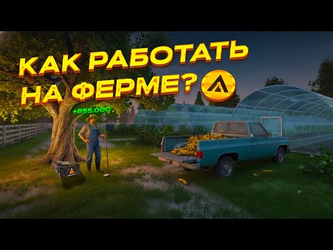 Видео: КАК ЗАРАБАТЫВАТЬ НА ФЕРМЕ В АМАЗИНГ ОНЛАЙН? l ГАЙД ФЕРМА l ДЛЯ НОВИЧКОВ l AMAZING RP